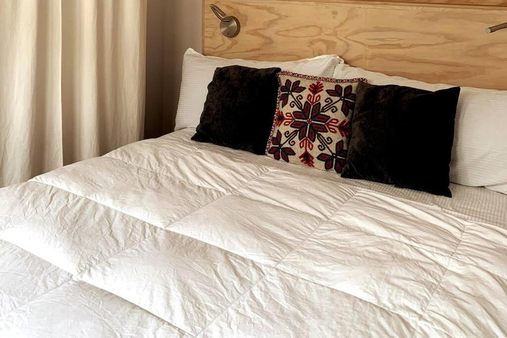 118 Suites Donceles Centro Historico Cdmx 墨西哥城 外观 照片